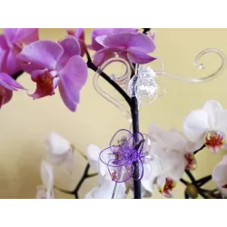 POLNIX Podpórka do orchidei dekoracyjna Storczyk Patyk Tyczka Zielona Przezroczysta