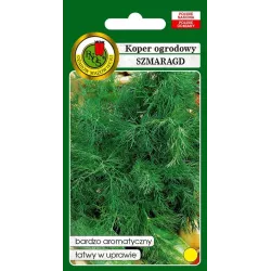 PNOS 100g Koper Szmaragd Nasiona warzyw Odmiana średnio późna Źródło witaminy C Plenny