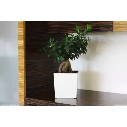 LAMELA Doniczka Juka Połysk Kremowy 19x19 + Wkład Donica Weranda