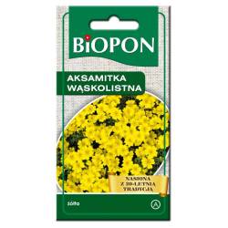Biopon 0,3g Aksamitka wąskolistna żółta Nasiona kwiatów Jednoroczna Rabaty