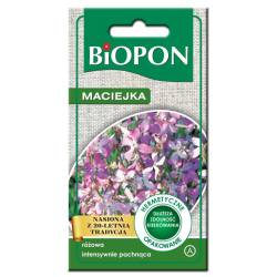 Biopon 3g Maciejka różowa Nasiona kwiatów Jednoroczna Intensywnie pachnie