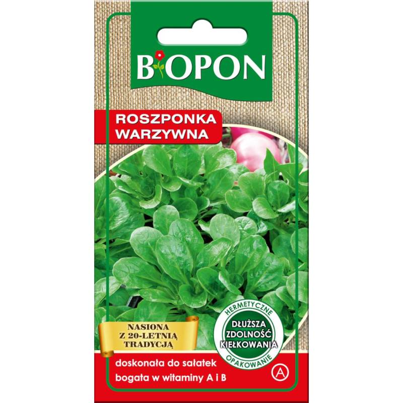 Biopon 2g Roszponka Vert De Cambrai Nasiona warzyw Do sałatek Źródło witamin