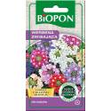 Biopon 0,1g Werbena zwisająca Mix Nasiona kwiatów Balkon Skrzynki