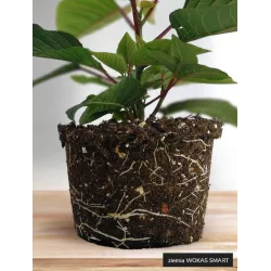 Wokas Smart 20l Ziemia do hortensji niebieskiej Podłoże + perlit nawóz