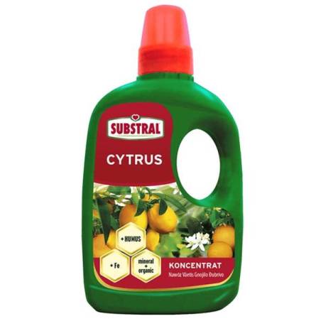 Substral 250 ml Nawóz Citrus koncentrat do cytrusów