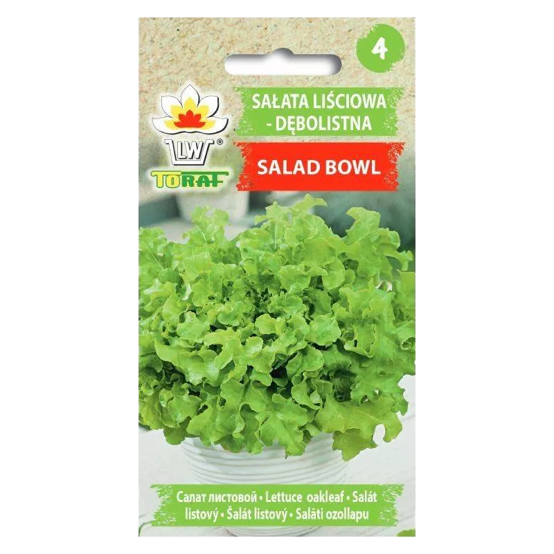 Toraf 1g Sałata Liściowa Salad Bowl Nasiona warzyw Dębolistna Dekorowanie dań Sałatki
