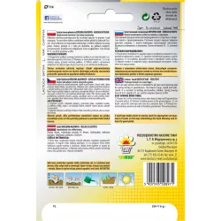 Toraf 6m Sałata masłowa Królowa Majowych Nasiona na taśmie Głowiasta Siew wiosna jesień