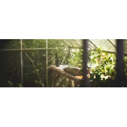 Ampol 1kg Siarka granulowana Odkaża Zakwaszanie gleby Dezynfekcja szklarni