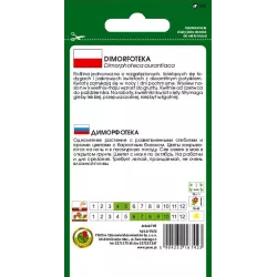 PNOS 0,5g Dimorfoteka Tetra Goliath Pomarańczowa Nasiona kwiatów Niskie rabaty Złotokwiat