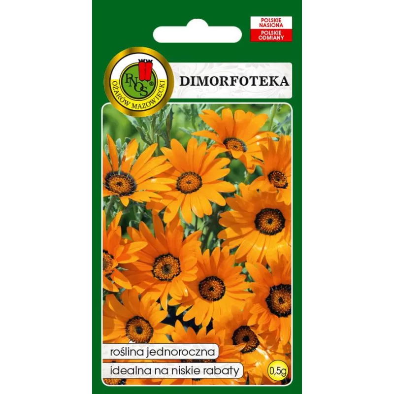 PNOS 0,5g Dimorfoteka Tetra Goliath Pomarańczowa Nasiona kwiatów Niskie rabaty Złotokwiat