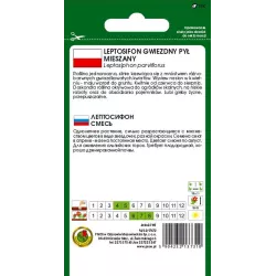 PNOS 0,5g Leptosifon Gwiezdny pył Nasiona kwiatów Kolorowy dywan Roślina okrywowa