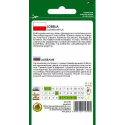 PNOS 0,2g Lobelia Fioletowa Mitterbnachtsblau Nasiona kwiatów Krzewi się Długo kwitnie