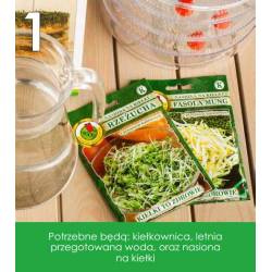 PNOS 5g Bazylia zielona Nasiona na kiełki Zdrowe Sałatki Poprawia trawienie Smaczne