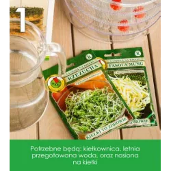 PNOS 10g Burak liściowy czerwony Nasiona na kiełki Zdrowe Źródło żelaza Kiełkownica