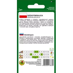 PNOS 0,2g Niezapominajka różowa Nasiona kwiatów Roślina dwuletnia Drobne kwiaty Skalniak