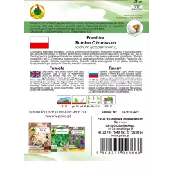 PNOS 100 szt. Pomidor Rumba Ożarowska Nasiona otoczkowane Gruntowy Plenny Na przetwory