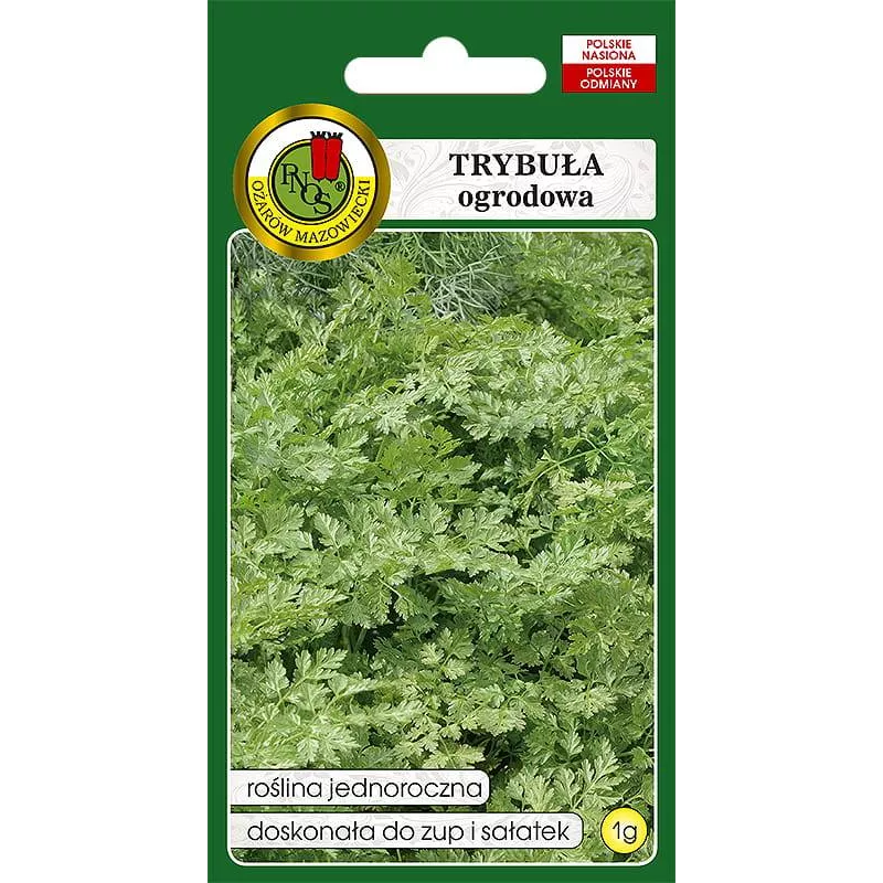 PNOS 1g Trybuła ogrodowa Commun Nasiona ziół Anyżowy aromat Do zup sosów sałatek