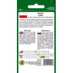PNOS 2g Brokuł Cezar Nasiona warzyw Źródło witaminy C Mrożenie Na zupy