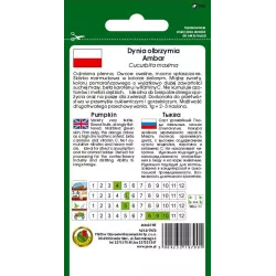 PNOS 5g Dynia olbrzymia Ambar Nasiona warzyw Zielona Na przetwory Źródło beta-karotenu