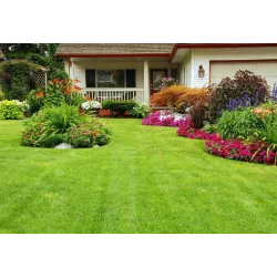 Siarkopol 25 kg Ogród 2001 Nawóz do trawnika antymech Zwalcza mech Zapobiega porastaniu Odżywia