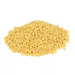 Toraf 0,25kg Gorczyca biała Bardena Poplon Nasiona kwiatów Zielony nawóz Spulchnia Poprawia strukturę gleby