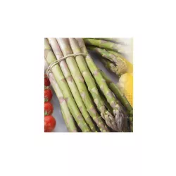 Toraf 2g Szparag Mary Washington Nasiona warzyw Odmiana wieloletnia Szybko rośnie Źródło witamin