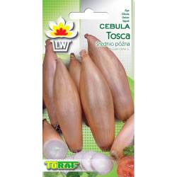 Toraf 2g Cebula Tosca Nasiona warzyw Odmiana średniopóźna Podłużna Długie przechowywanie