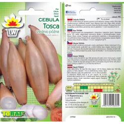 Toraf 2g Cebula Tosca Nasiona warzyw Odmiana średniopóźna Podłużna Długie przechowywanie