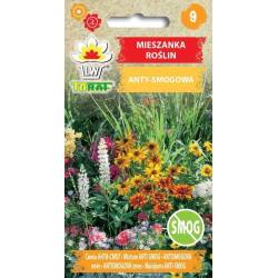 Toraf 2g Mieszanka roślin Anty- smogowa Nasiona kwiatów Czyst powietrze Piękny zielony ogród