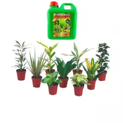 Ekodarpol 2l Biohumus do kwiatów zielonych naturalny wermikompost odżywia