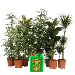 Ekodarpol 2l Biohumus do kwiatów zielonych naturalny wermikompost odżywia