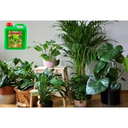 Ekodarpol 2l Biohumus do kwiatów zielonych naturalny wermikompost odżywia