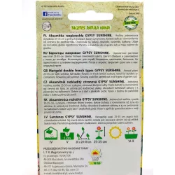 Toraf 1g Aksamitka Gypsy Sunshine Nasiona rozpierzchła niska żółta pełne kwiaty