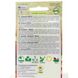 Toraf 20szt. Truskawka Tresca Nasiona owoców słodka smaczna odmiana gruntowa