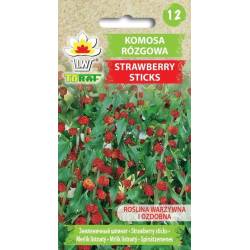 Toraf 0,1g Komosa rózgowa Strawberry Sticks Nasiona warzyw Roślina ozdobna Jadalne owoce