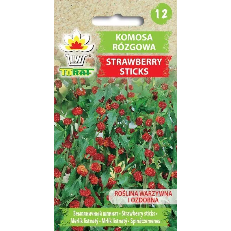 Toraf 0,1g Komosa rózgowa Strawberry Sticks Nasiona warzyw Roślina ozdobna Jadalne owoce