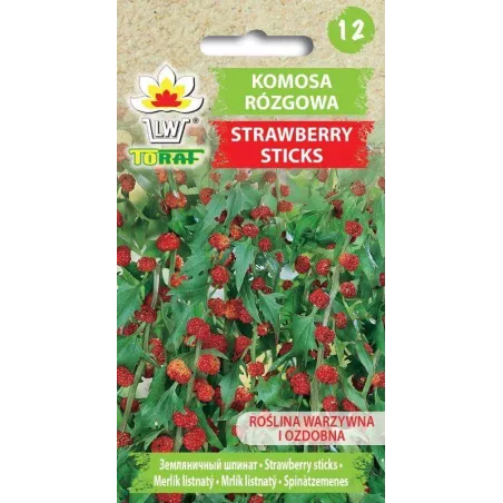 Toraf 0,1g Komosa rózgowa Strawberry Sticks Nasiona warzyw Roślina ozdobna Jadalne owoce