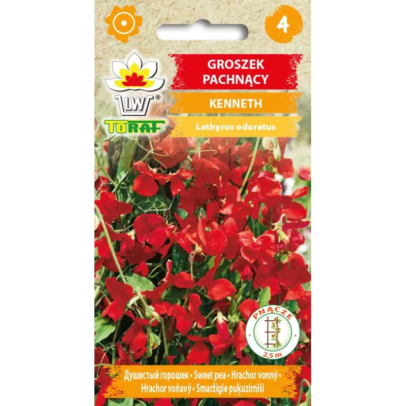 Toraf 1g Groszek Pachnący Kenneth Czerwony Nasiona kwiatów Długo kwitnie Pnącze