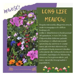 Toraf 500g Mieszanka Long Life Meadow Bylinowa Nasiona roślin wieloletnich Odporna na suszę Obfite kwitnienie