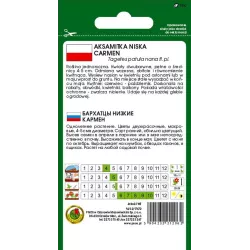 PNOS 1g Aksamitka niska Carmen Nasiona kwiatów Jednoroczna Łatwa uprawa Rabatki Balkony