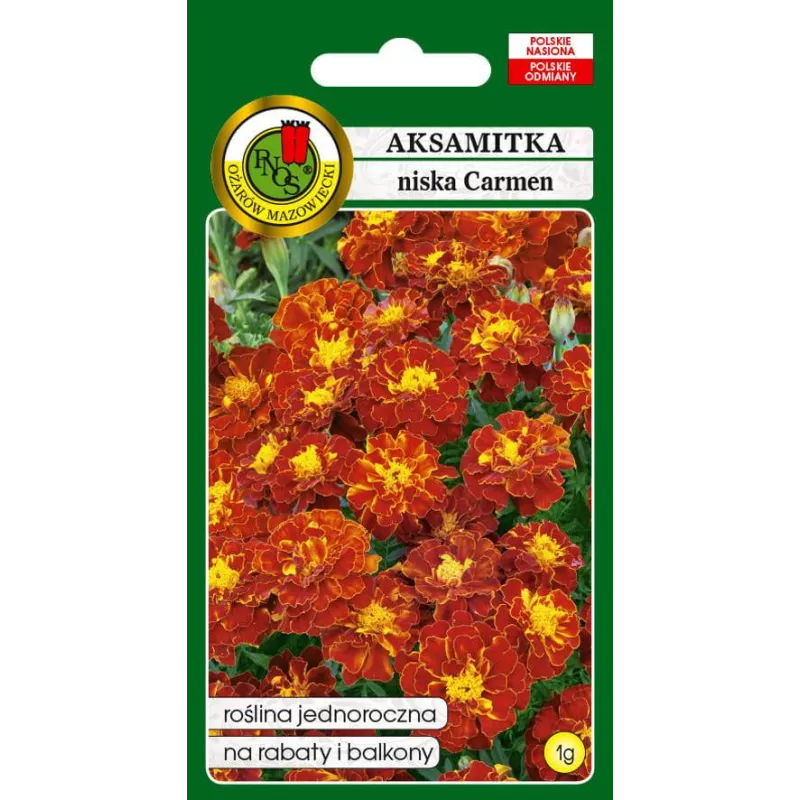 PNOS 1g Aksamitka niska Carmen Nasiona kwiatów Jednoroczna Łatwa uprawa Rabatki Balkony