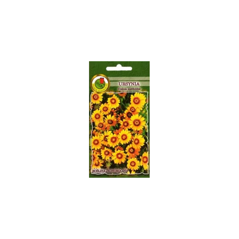 PNOS 0,1g Ursynia pomarańczowa Nasiona kwiatów Rabatki Skalniaki Balkon