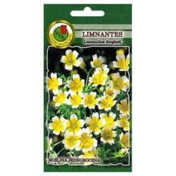 PNOS 1g Limnantes Zółto-biały Nasiona kwiatów Jednoroczna Niskie rabaty