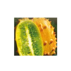 Toraf 0,5g Kiwano Ogórek Afrykański Nasiona Roślina jadalna Pnąca Smak kiwi