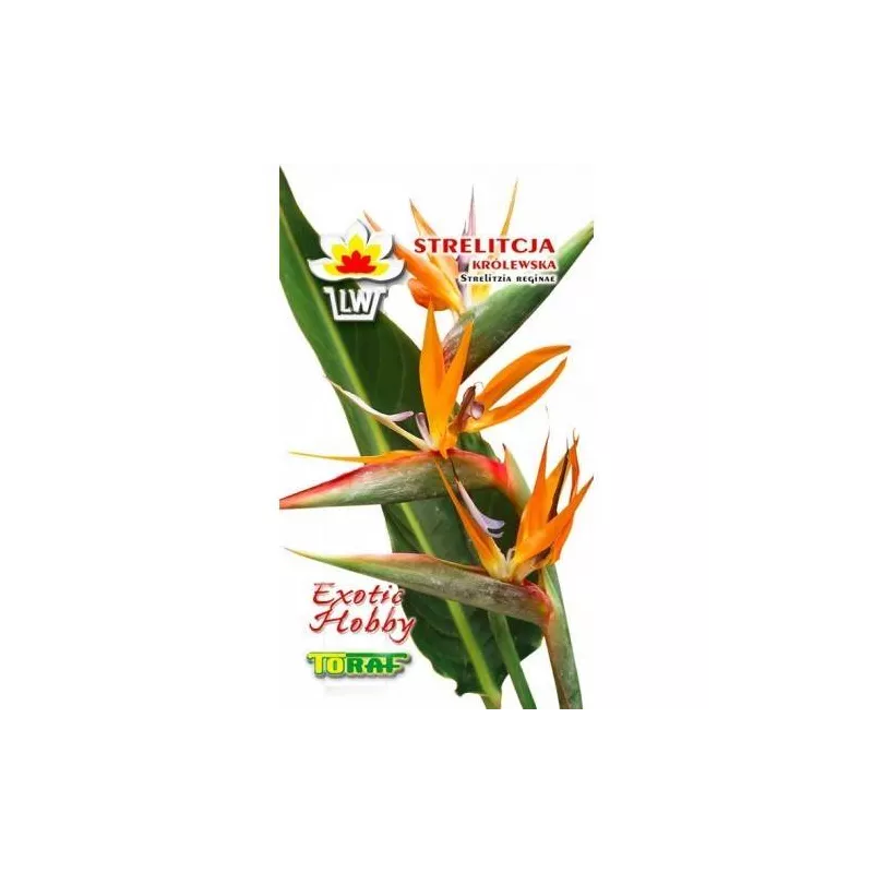 Toraf 5szt Strelicja Królewska Nasiona kwiatów przypominających ptaki roślina egzotyczna