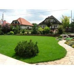 Forte 5 kg Trawnik ozdobny Nasiona traw dekoracyjnych Zielony dywan