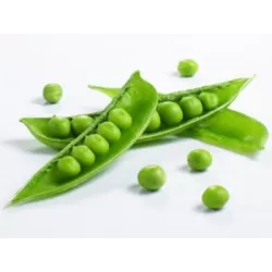 Biopon 40g Groch Siewny Łuskowy Cud Kelvedonu Nasiona warzyw Odmiana wczesna Bardzo plenna