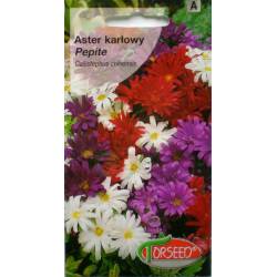 TORSEED 1g Aster karłowy Pepite Mix kolorów Nasiona kwiatów Jednoroczny Niski Kolorowy dywan