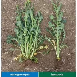 Agrarius 250ml Nanogro Aqua Stymulator wzrostu Uodparnia Zdrowe rośliny