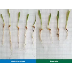 Agrarius 250ml Nanogro Aqua Stymulator wzrostu Uodparnia Zdrowe rośliny